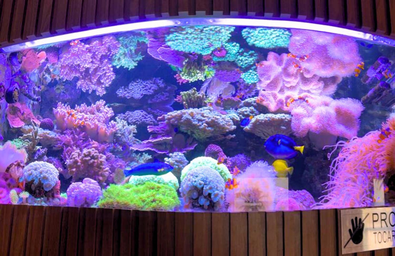 Hotel Atlantico กวาราปารี ภายนอก รูปภาพ